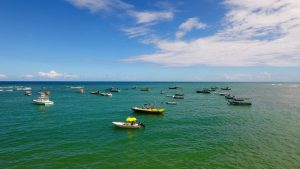 Imagem aérea de Praia do Forte e do Projeto Tamar